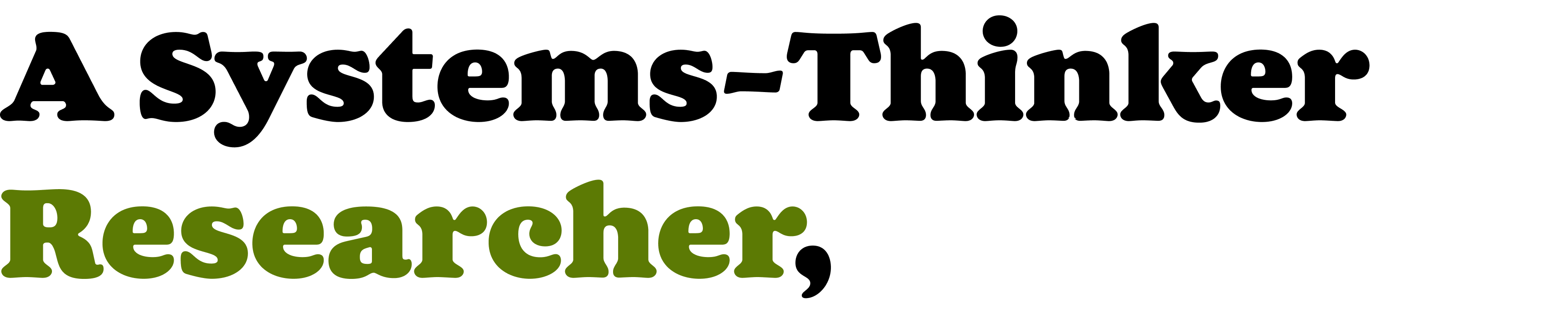 A systems-Thinker Researcher,